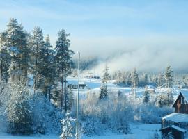 Trysil turistesenter liten leilighet，位于特吕西尔的酒店