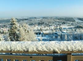 Trysil turistesenter hytte，位于特吕西尔的酒店