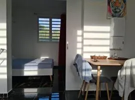 Kaz o ti plezi