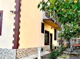 Casa Cosmina，位于Sînnicolau Mare的酒店