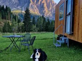 Vivere l'inverno tra i prati di Sappada