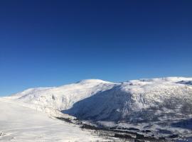 Voss-Oppheim Resort appartment witc acess to swimmingpool，位于&Oslash;yjordi的低价酒店