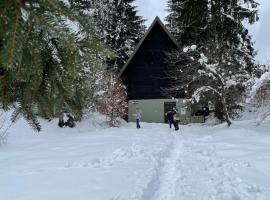 Romantic Forest House Tršće，位于Tršće的酒店