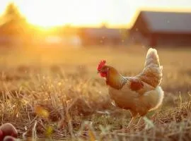 Farm Stay | Sauna+Gym | Between Leipers & Franklin