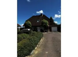 Michael's Elbe Dream