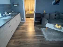 Trumpalaikė Nuoma-Apgyvendinimas，位于罗基什基斯的酒店