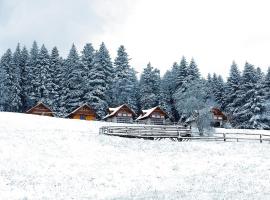 Domki w Kasinie，位于卡西纳维耶卡的酒店