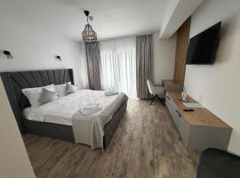 Pensiunea Seraris，位于沃伊内亚萨的酒店