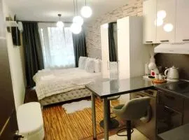 Luxury studio Perun Lodge