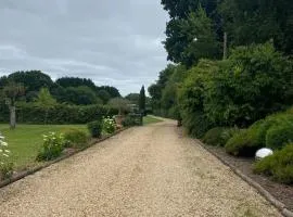Alpaca Retreat with Hot Tub in Dorset