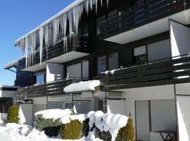 Ferienwohnung Am Goldbach Pool Sauna，位于上迈塞尔施泰因的酒店