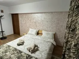 Apartament Comfort