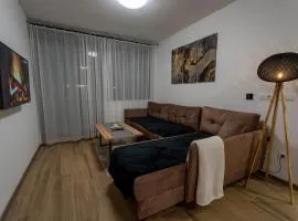 108 Lux Apartman Ravna planina