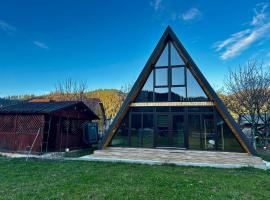 BucovinaAframe，位于坎普朗莫道尼斯的木屋