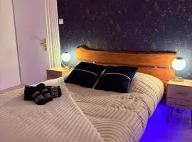 César Room - Appartement Antique 2-3 pers, parking privé,proche centre et gare