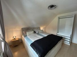 Faraway Homes Studios Bad Leonfelden，位于Haid的酒店