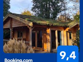 HderH - Eco Lodge op vakantiepark De IJsvogel, zwembaden, kids fun, natuur en rust，位于福尔特赫伊曾的木屋