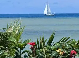 Buddy's Beach House Sipalay