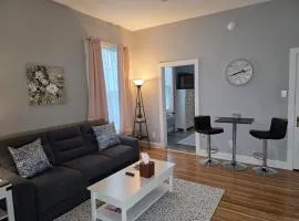 Relaxing Downtown 1 Bed, Dog Friendly Apartment with Deck, Dog Exercise Area