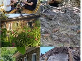 Firdavs guest house with mountainiring horse camel riding and hiking services