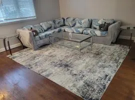 Townhome Near Northwestern and Hospital