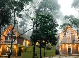 Kings Holidays Munnar