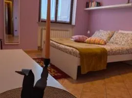 Appartamento Albachiara