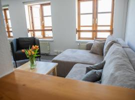 Markt Eins Appartement Stadtblick，位于Schöppenstedt的酒店