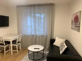 Modernes 1 Zimmer Appartement direkt am Wörthsee