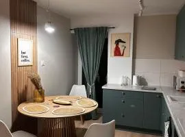 Mieszkanie w centrum miasta