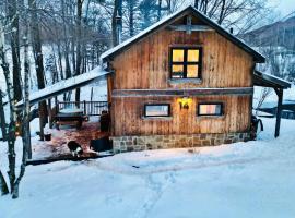 Le 14 Chalets Howard - Spa-Shower-Hammock-Bromont，位于布罗蒙的酒店
