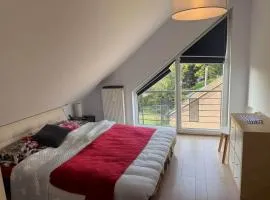 Room with king size bed and Bathroom at a shared appartment