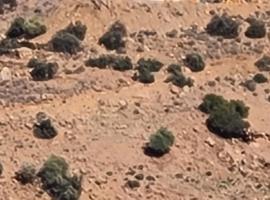 Hotel bio，位于胡塞马的酒店