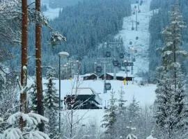 Trysil turistesenter hytte