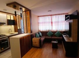 Departamento amoblado y Estacionamiento Gratis，位于利马的酒店