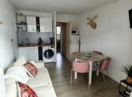 Vue sur la montagne au cœur des pistes