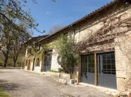 Spacieuse maison avec piscine partagée à Razès