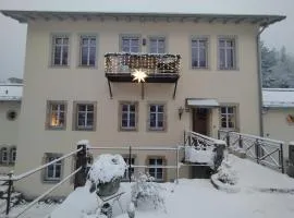 Luxuriöse FeWohnung Felsenblick