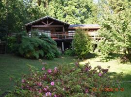 Cabaña Huenehue - Orilla de Lago，位于Pucura的酒店