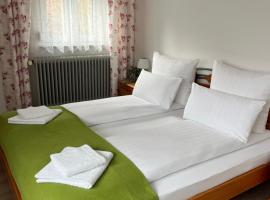 Hotel Hirsch Fluorn Schwarzwald，位于Fluorn的酒店
