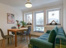 Wunderschöne große Ferienwohnung in Aue