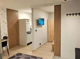 Ramfjord Apartment 2