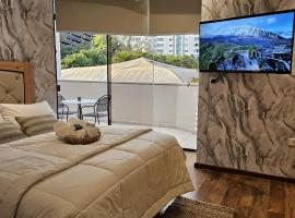 Green Palace Hotel Boutique，位于亚松森的酒店