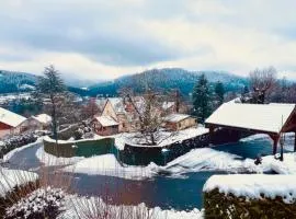 Cozy apartment with lake view