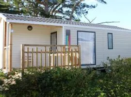 Mobil-home confortable avec terrasse à Tréguennec - API-1-52-1084