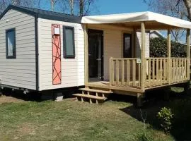Mobil-home confortable avec terrasse à Tréguennec - API-1-52-1091