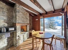 PO Petite Ourses Suite - Anzere Slopeside - Swiss Alp，位于安塞热的酒店