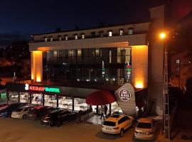 Ren Business Hotel，位于Gerede的酒店