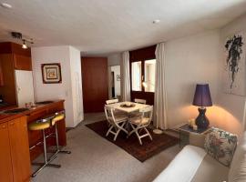Retreat in the center of Sankt Moritz，位于圣莫里茨的酒店