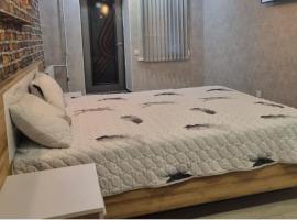 2КОМНАТНАЯ квартира в центре с отдельным входом，位于克列缅丘格的酒店
